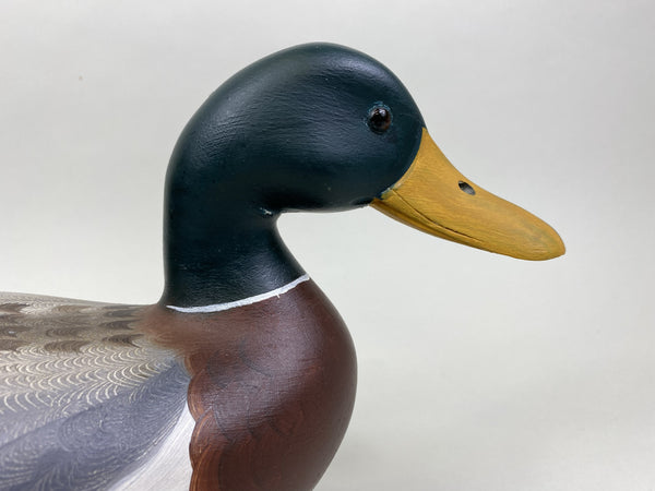 Robert Weeks Mallard Drake (#8498)
