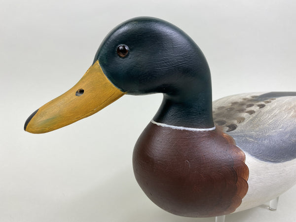 Robert Weeks Mallard Drake (#8498)