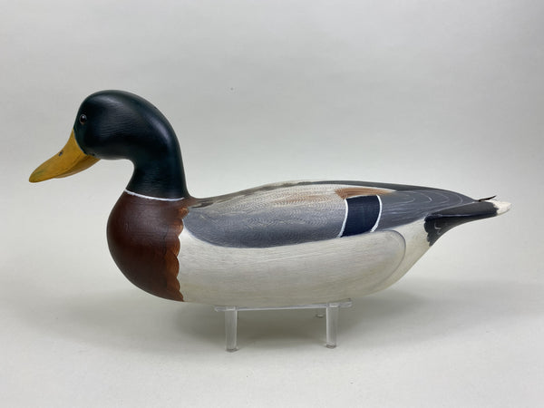 Robert Weeks Mallard Drake (#8498)
