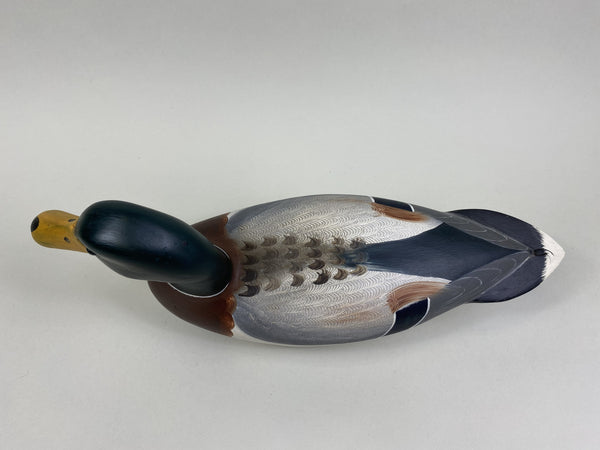 Robert Weeks Mallard Drake (#8498)