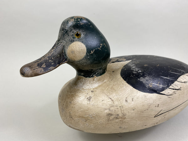 Golden-Eye Drake, Ward Bros. Influence (#8503)