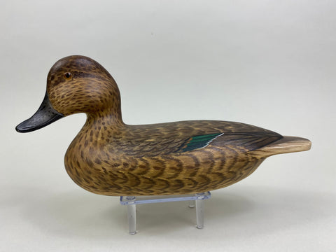 Mike Lashbrook Green Winged Teal Hen (#8504)
