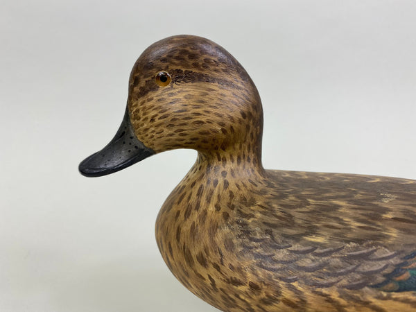Mike Lashbrook Green Winged Teal Hen (#8504)