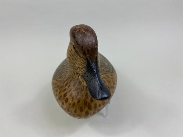 Mike Lashbrook Green Winged Teal Hen (#8504)