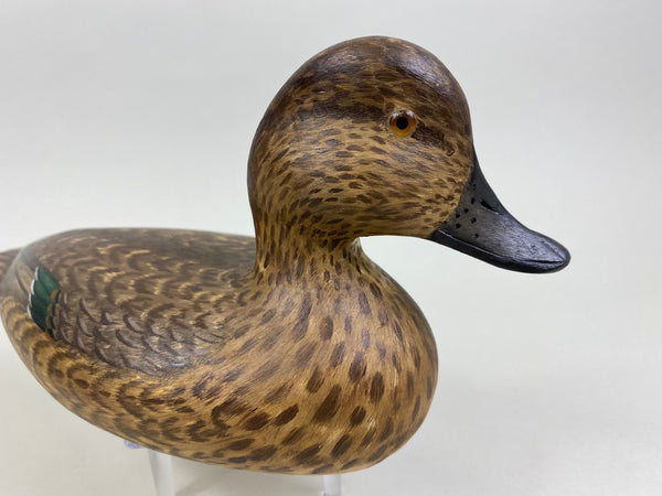 Mike Lashbrook Green Winged Teal Hen (#8504)