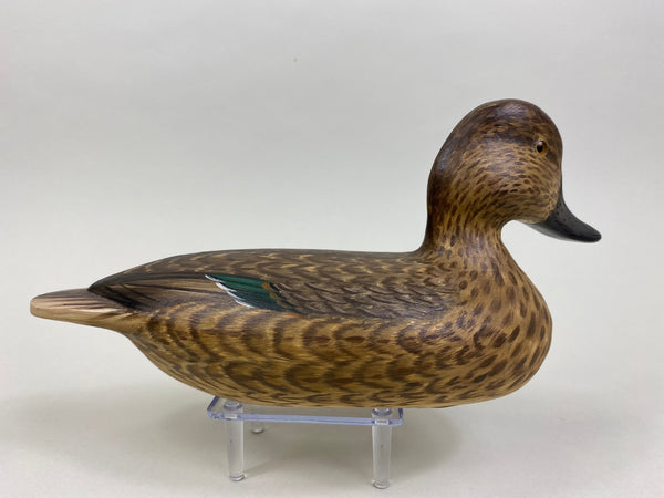 Mike Lashbrook Green Winged Teal Hen (#8504)