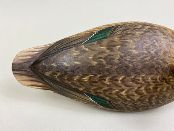 Mike Lashbrook Green Winged Teal Hen (#8504)
