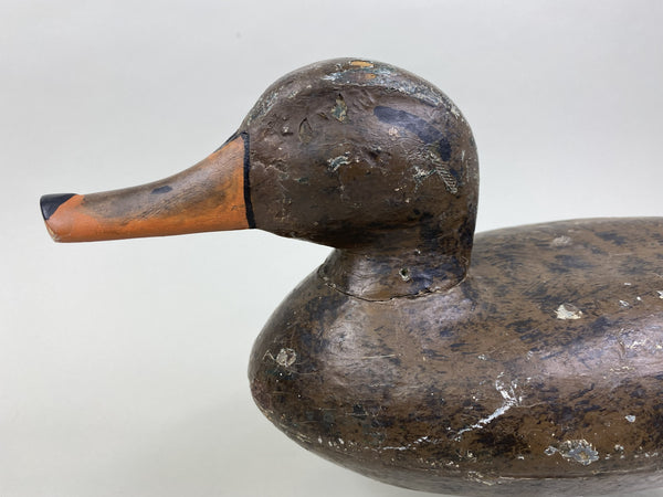 Richard Sheppard Mallard Hen (#8506)