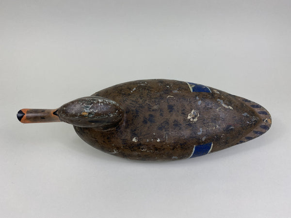 Richard Sheppard Mallard Hen (#8506)