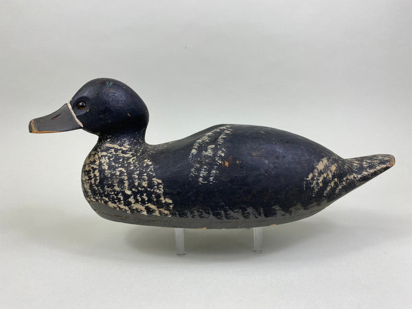 Unknown Wisconsin Bluebill, Circa 1930's (#8508)