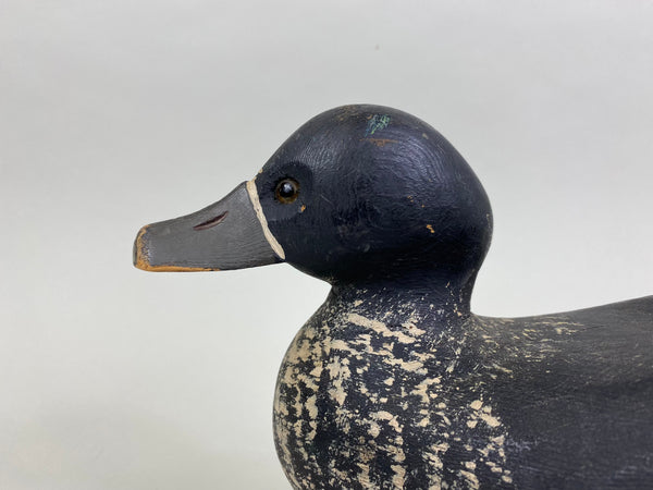 Unknown Wisconsin Bluebill, Circa 1930's (#8508)