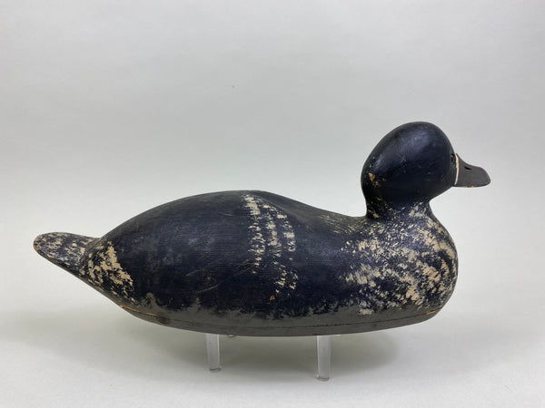 Unknown Wisconsin Bluebill, Circa 1930's (#8508)