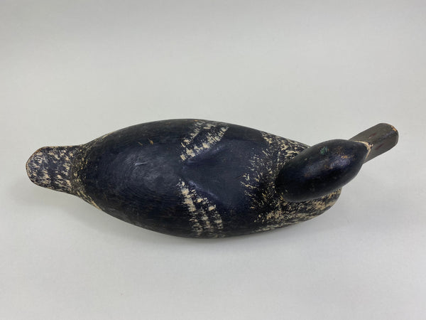 Unknown Wisconsin Bluebill, Circa 1930's (#8508)