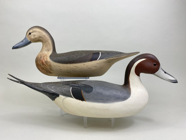 Robert Weeks pair of Pintails (#8518)