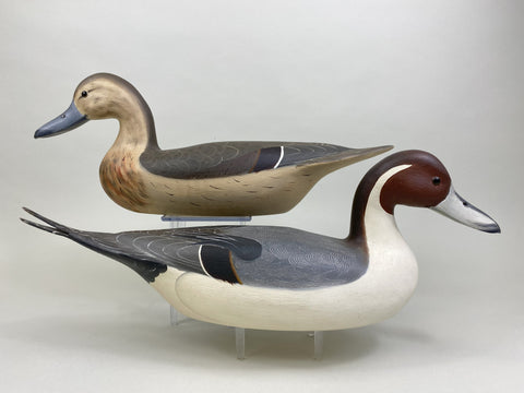 Robert Weeks pair of Pintails (#8518)