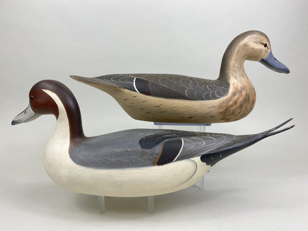 Robert Weeks pair of Pintails (#8518)