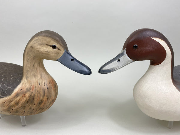 Robert Weeks pair of Pintails (#8518)