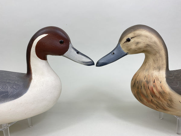 Robert Weeks pair of Pintails (#8518)