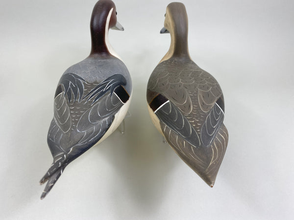 Robert Weeks pair of Pintails (#8518)