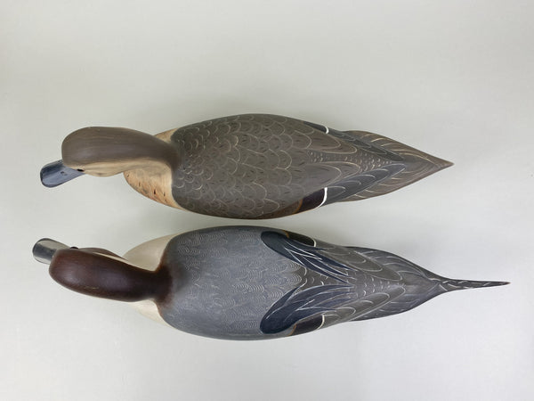 Robert Weeks pair of Pintails (#8518)