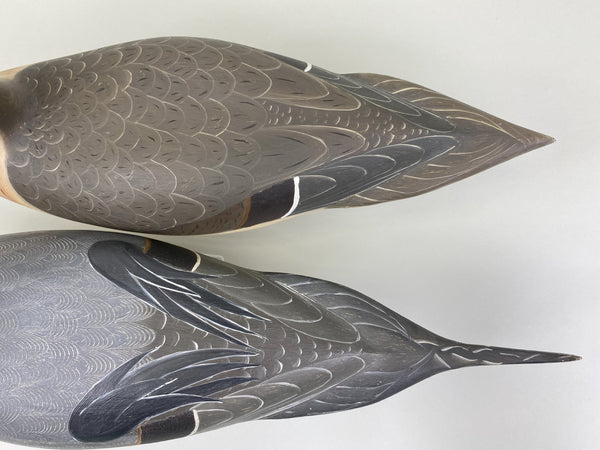 Robert Weeks pair of Pintails (#8518)