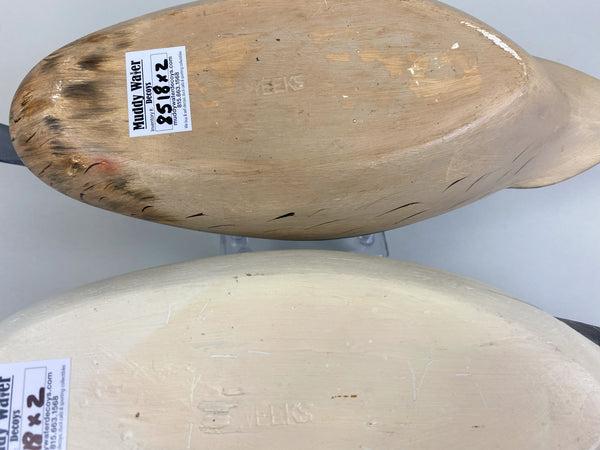Robert Weeks pair of Pintails (#8518)