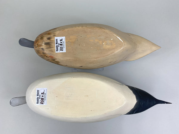 Robert Weeks pair of Pintails (#8518)