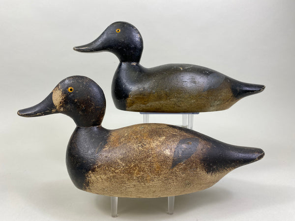 Pair of Evans Factory Bluebills (#8519)