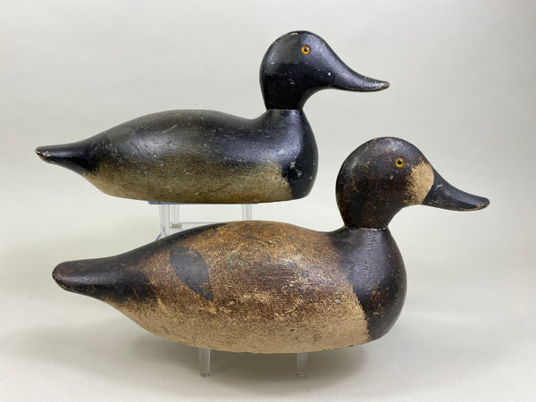 Pair of Evans Factory Bluebills (#8519)