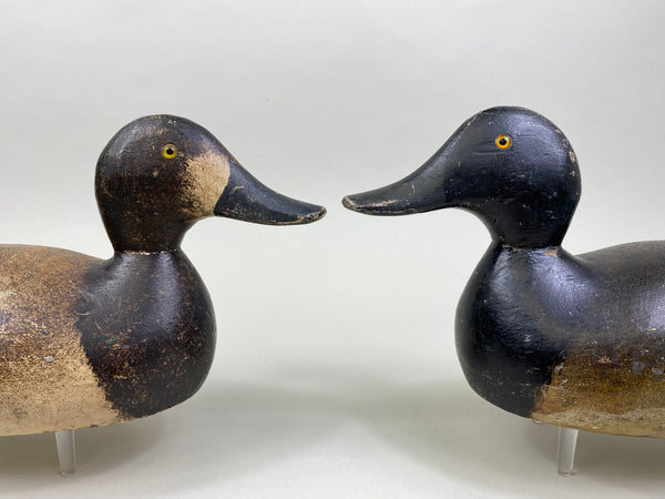 Pair of Evans Factory Bluebills (#8519)