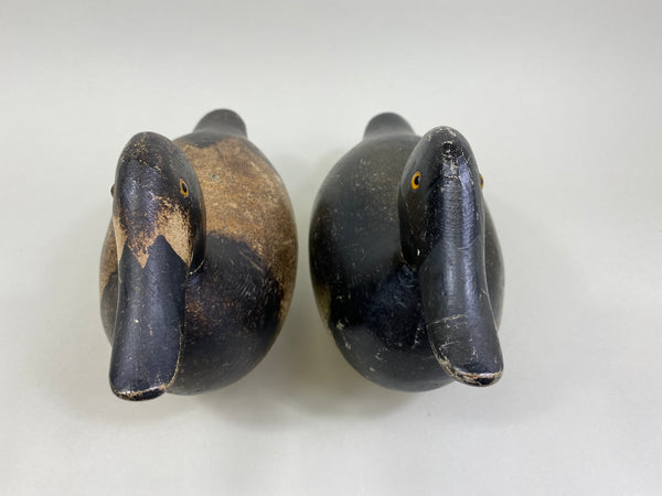 Pair of Evans Factory Bluebills (#8519)