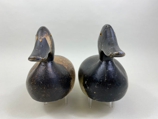 Pair of Evans Factory Bluebills (#8519)