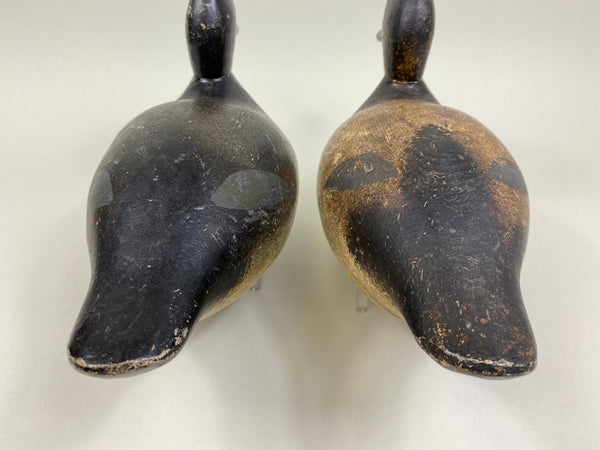 Pair of Evans Factory Bluebills (#8519)