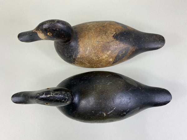 Pair of Evans Factory Bluebills (#8519)