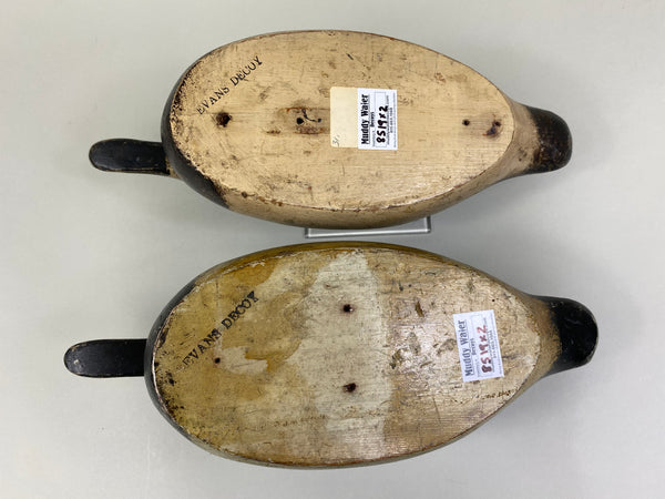 Pair of Evans Factory Bluebills (#8519)