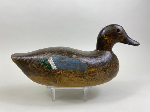 Ora Clough Blue Wing Teal Hen (#8522)