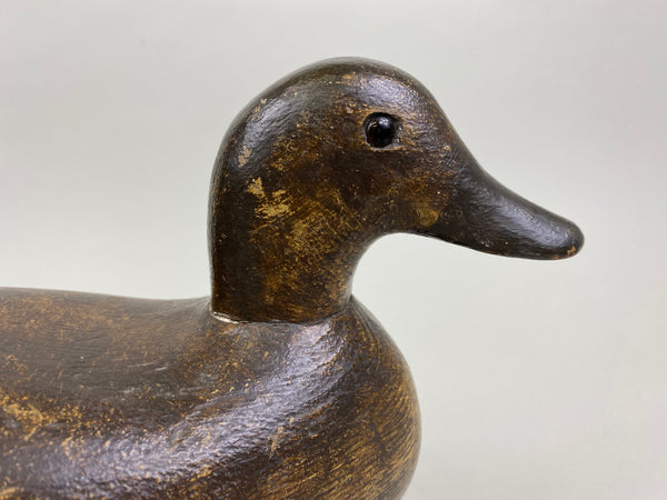 Ora Clough Blue Wing Teal Hen (#8522)