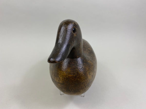 Ora Clough Blue Wing Teal Hen (#8522)