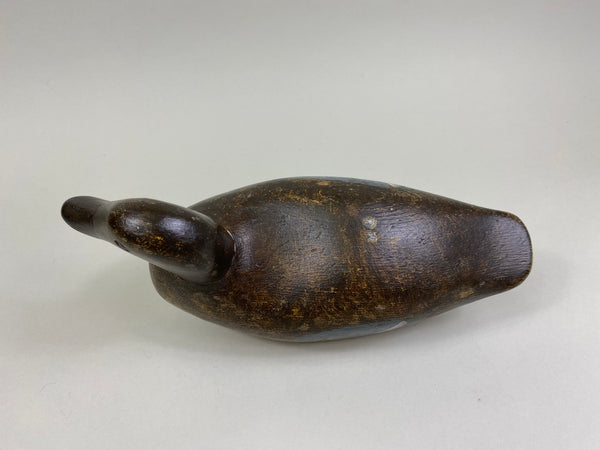 Ora Clough Blue Wing Teal Hen (#8522)