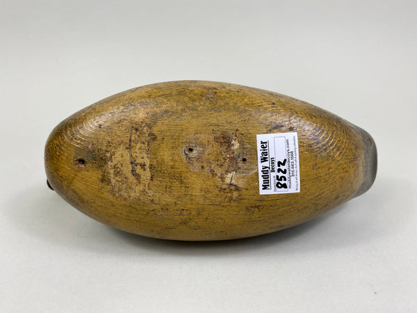 Ora Clough Blue Wing Teal Hen (#8522)