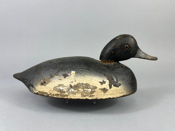 Quillen Style Bluebill (#3937)