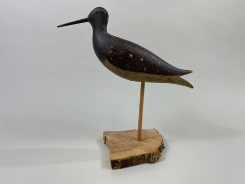 Captain James Wyer Shorebird, Circa 1880's (#8541)