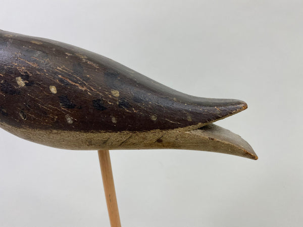 Captain James Wyer Shorebird, Circa 1880's (#8541)