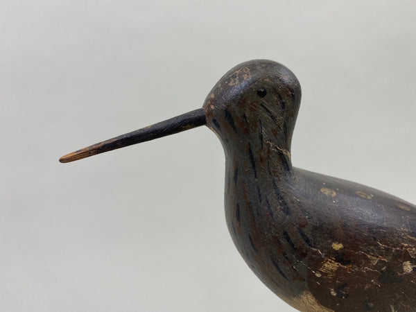 Captain James Wyer Shorebird, Circa 1880's (#8541)