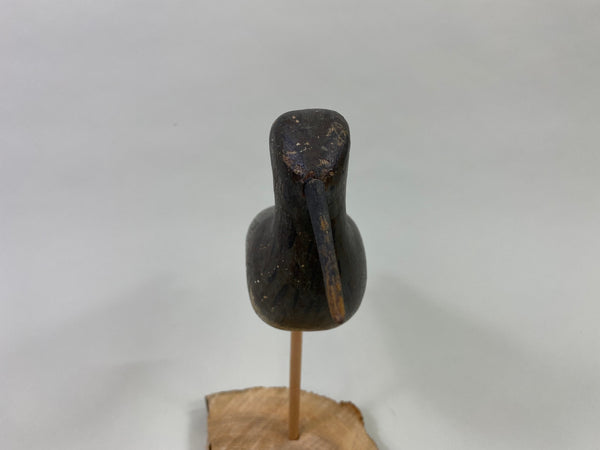 Captain James Wyer Shorebird, Circa 1880's (#8541)