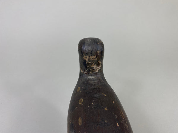 Captain James Wyer Shorebird, Circa 1880's (#8541)