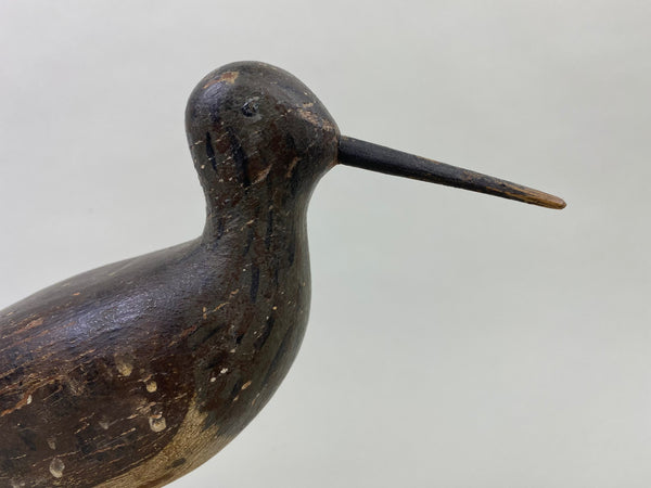 Captain James Wyer Shorebird, Circa 1880's (#8541)