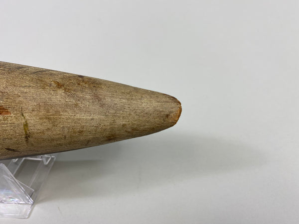 Captain James Wyer Shorebird, Circa 1880's (#8541)