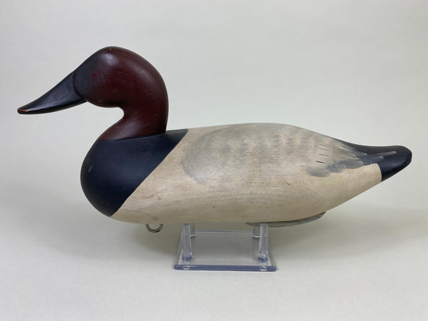 Capt. Harry Jobes Canvasback Drake (#8552)