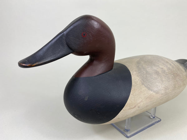 Capt. Harry Jobes Canvasback Drake (#8552)